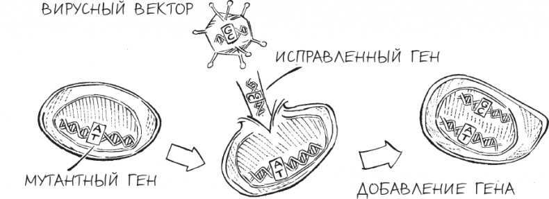 Иллюстрация к книге — Трещина в мироздании [i_005.jpg]