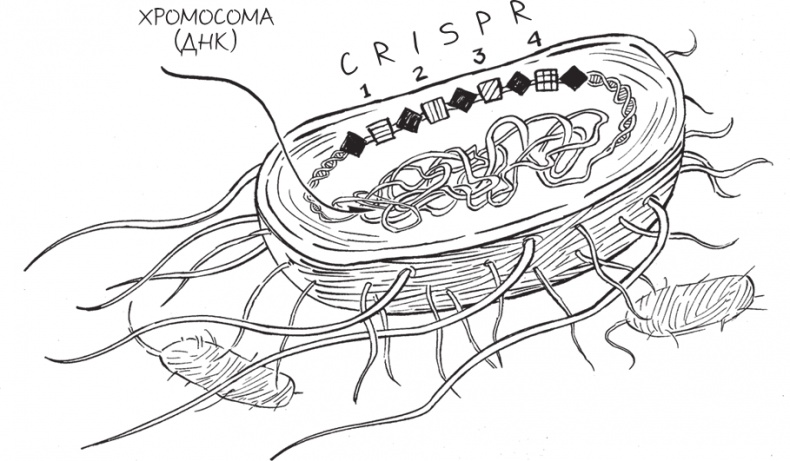 Иллюстрация к книге — Трещина в мироздании [i_007.jpg]