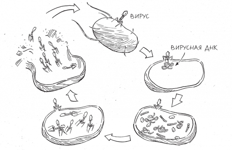 Иллюстрация к книге — Трещина в мироздании [i_009.jpg]