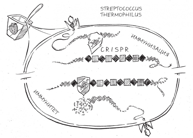 Иллюстрация к книге — Трещина в мироздании [i_010.jpg]