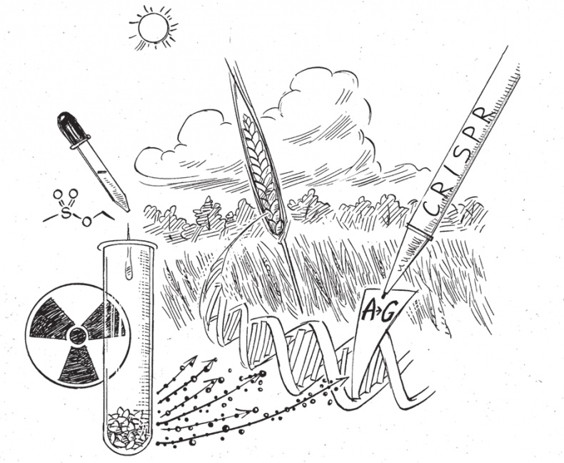 Иллюстрация к книге — Трещина в мироздании [i_019.jpg]
