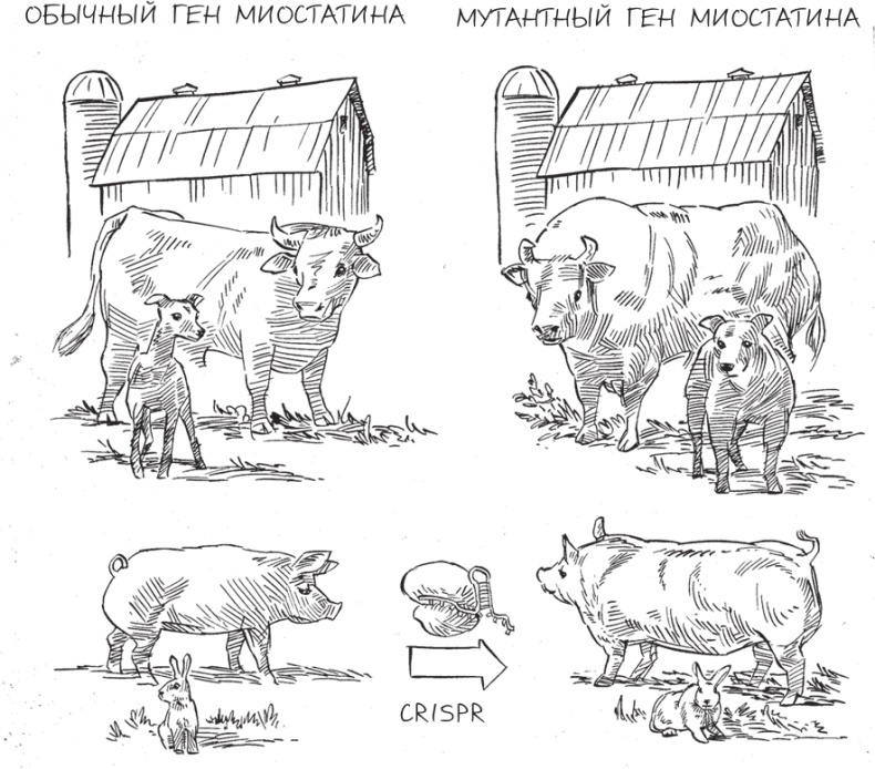 Иллюстрация к книге — Трещина в мироздании [i_021.jpg]