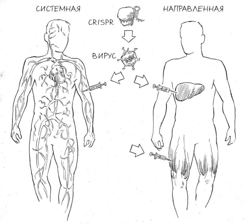 Иллюстрация к книге — Трещина в мироздании [i_027.jpg]