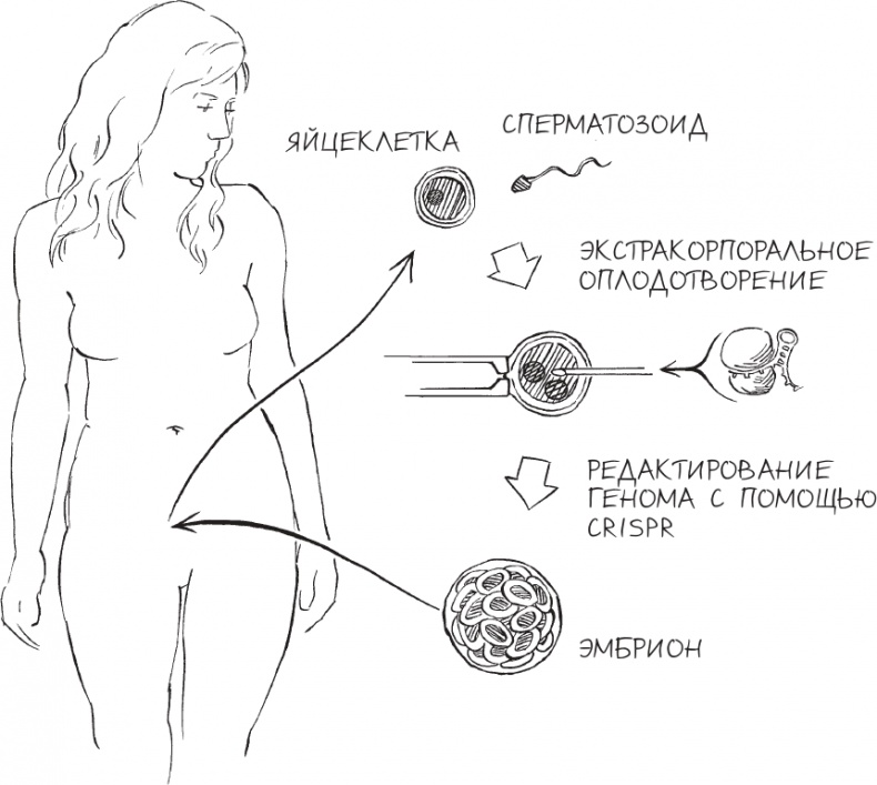 Иллюстрация к книге — Трещина в мироздании [i_028.jpg]