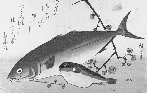 Иллюстрация к книге — Искра жизни. Электричество в теле человека [i_010.jpg]