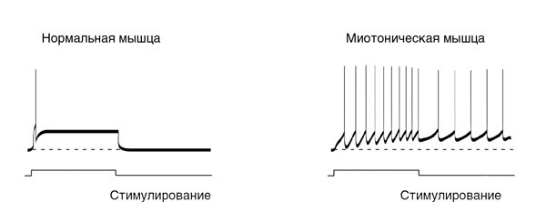 Иллюстрация к книге — Искра жизни. Электричество в теле человека [i_014.jpg]