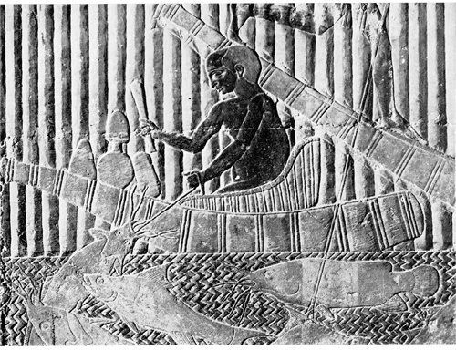 Иллюстрация к книге — Искра жизни. Электричество в теле человека [i_016.jpg]