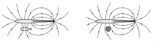 Иллюстрация к книге — Искра жизни. Электричество в теле человека [i_021.jpg]