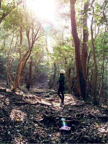 Иллюстрация к книге — Кинцуги [i_096.jpg]