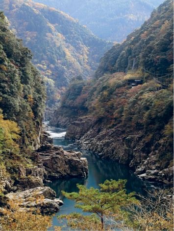 Иллюстрация к книге — Кинцуги [i_100.jpg]