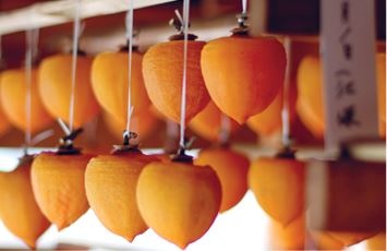 Иллюстрация к книге — Кинцуги [i_103.jpg]