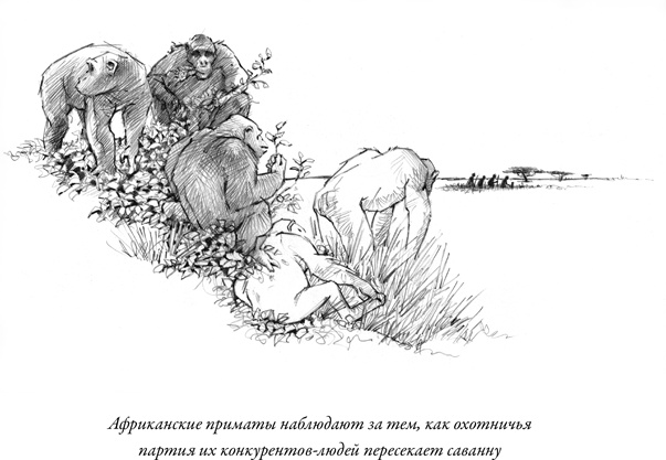 Иллюстрация к книге — Эусоциальность [i_009.jpg]