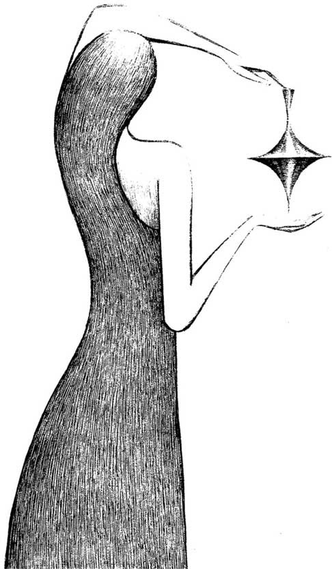 Иллюстрация к книге — Инкубус [i_013.jpg]