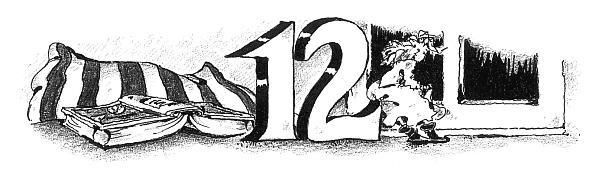 Иллюстрация к книге — Потилла [i_020.jpg]