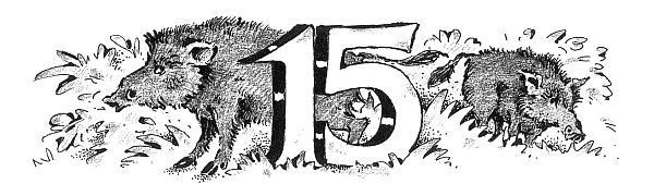 Иллюстрация к книге — Потилла [i_024.jpg]