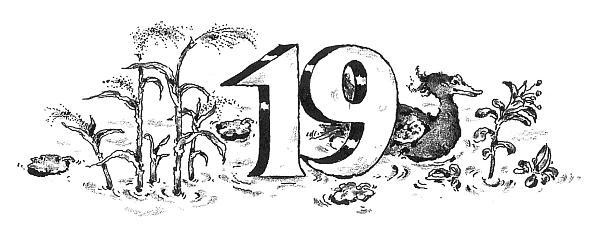 Иллюстрация к книге — Потилла [i_030.jpg]