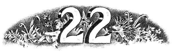 Иллюстрация к книге — Потилла [i_036.jpg]