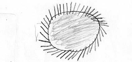 Иллюстрация к книге — Дитя и болезнь. Неведомый мир по ту сторону диагноза [i_009.jpg]