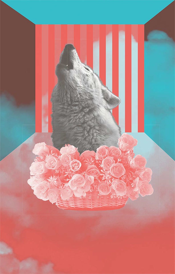 Иллюстрация к книге — Голос [i_005.jpg]