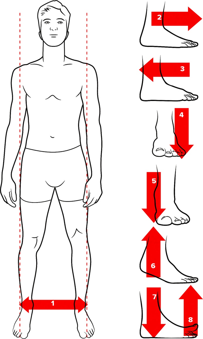 Иллюстрация к книге — Голос [i_007.jpg]