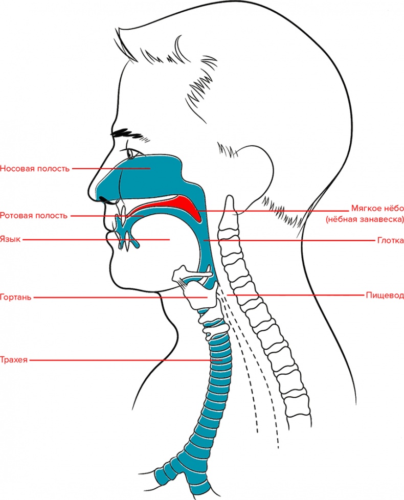 Иллюстрация к книге — Голос [i_008.jpg]