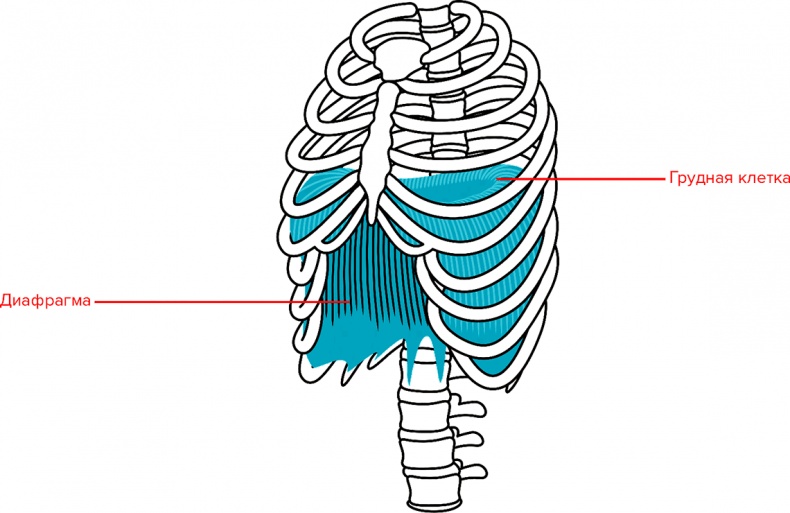 Иллюстрация к книге — Голос [i_011.jpg]