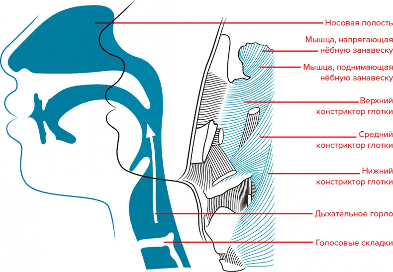 Иллюстрация к книге — Голос [i_015.jpg]