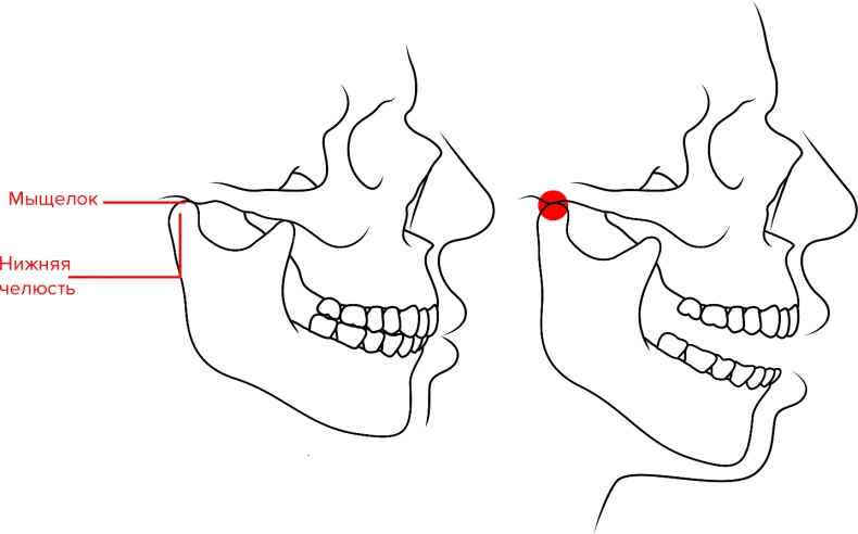 Иллюстрация к книге — Голос [i_016.jpg]