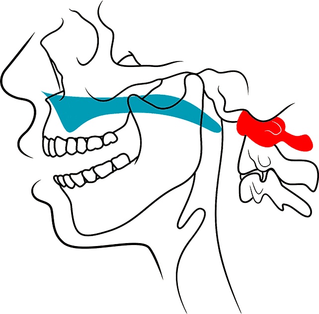 Иллюстрация к книге — Голос [i_108.jpg]