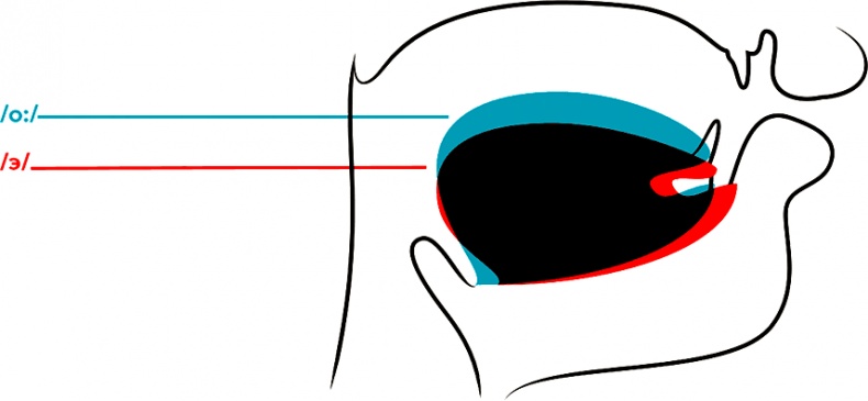 Иллюстрация к книге — Голос [i_136.jpg]