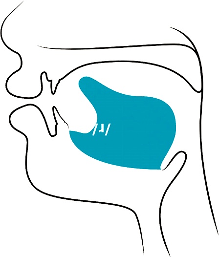 Иллюстрация к книге — Голос [i_137.jpg]