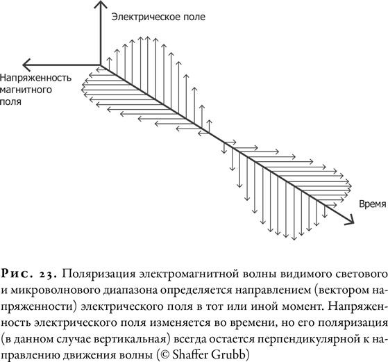 Иллюстрация к книге — Гонка за Нобелем [i_024.jpg]