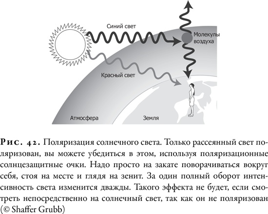 Иллюстрация к книге — Гонка за Нобелем [i_041.jpg]