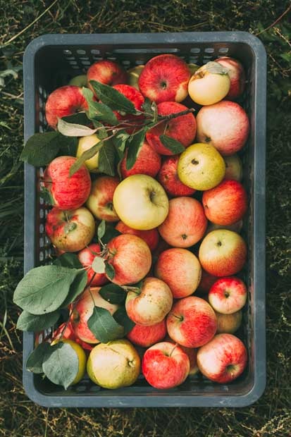 Иллюстрация к книге — Cozy. Искусство всегда и везде чувствовать себя уютно [i_007.jpg]