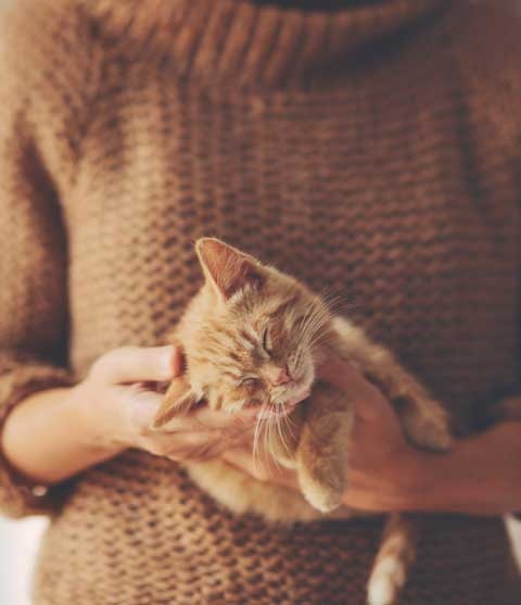 Иллюстрация к книге — Cozy. Искусство всегда и везде чувствовать себя уютно [i_020.jpg]