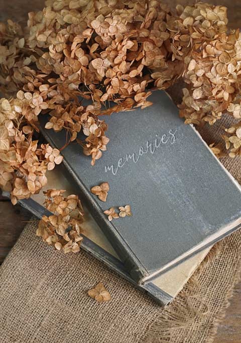 Иллюстрация к книге — Cozy. Искусство всегда и везде чувствовать себя уютно [i_023.jpg]