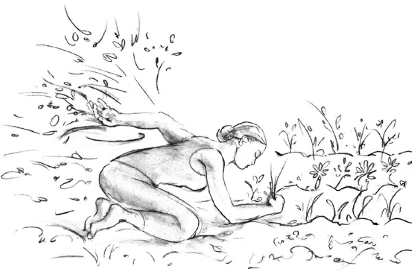 Иллюстрация к книге — Свет ума [i_008.jpg]