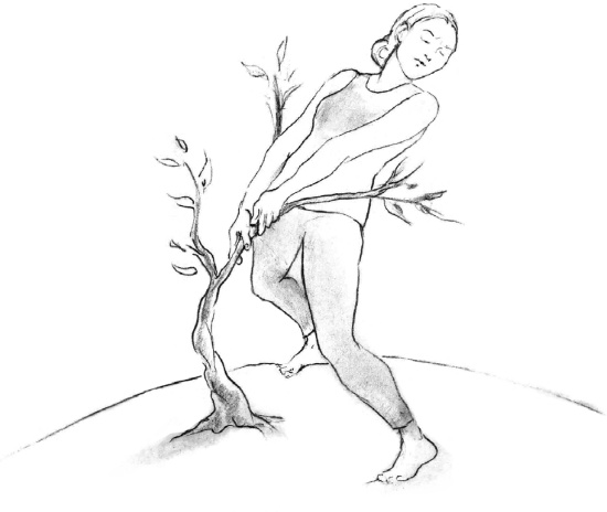 Иллюстрация к книге — Свет ума [i_009.jpg]