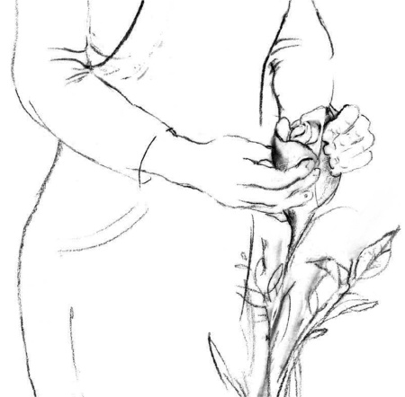 Иллюстрация к книге — Свет ума [i_010.jpg]