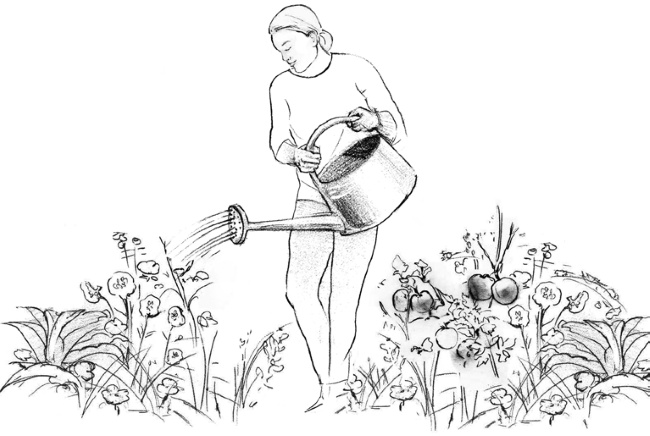 Иллюстрация к книге — Свет ума [i_011.jpg]