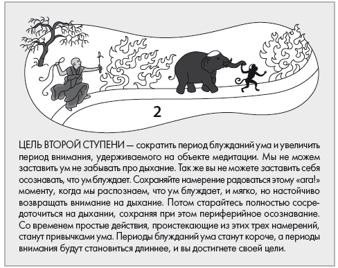 Иллюстрация к книге — Свет ума [i_032.jpg]