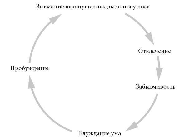 Иллюстрация к книге — Свет ума [i_033.jpg]