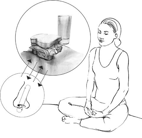 Иллюстрация к книге — Свет ума [i_041.jpg]