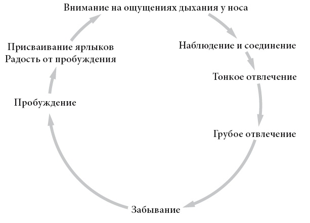 Иллюстрация к книге — Свет ума [i_043.jpg]