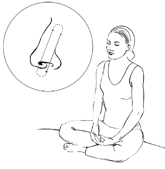 Иллюстрация к книге — Свет ума [i_045.jpg]