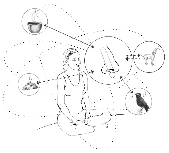 Иллюстрация к книге — Свет ума [i_060.jpg]