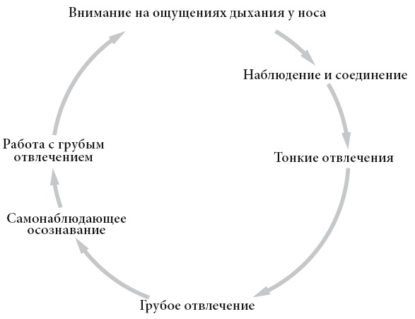Иллюстрация к книге — Свет ума [i_061.jpg]