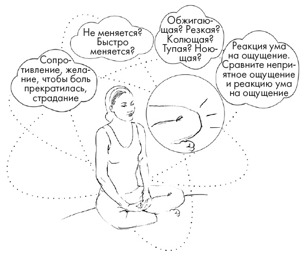 Иллюстрация к книге — Свет ума [i_063.jpg]