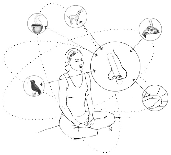 Иллюстрация к книге — Свет ума [i_065.jpg]