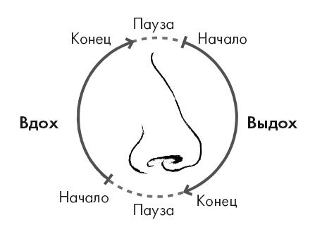 Иллюстрация к книге — Свет ума [i_072.jpg]